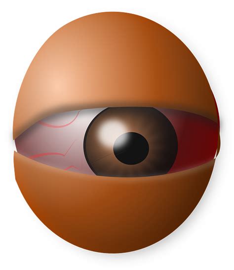 Eyeball Eye Human Free Vector Graphic On Pixabay