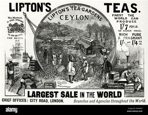 An Advertisement For Liptons Teas With An Illustration Of One Of The