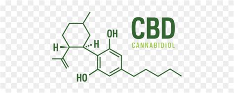 Cbd Can Be Converted To Tetrahydrocannabinol Under Cbd Molecule