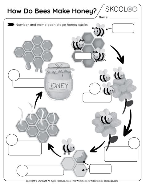 How Do Bees Make Honey Free Worksheet Skoolgo