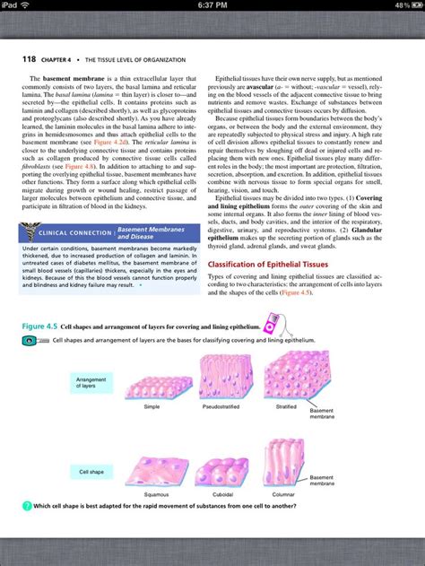 Principles Of Anatomy And Physiology Chapter 4 The Tissue Level Of