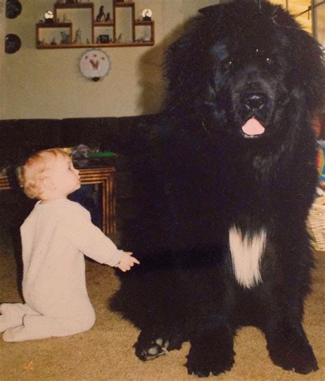 22 Little Kids And Their Big Dogs