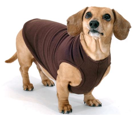 Chocolate Dachshund Fleece Sweater