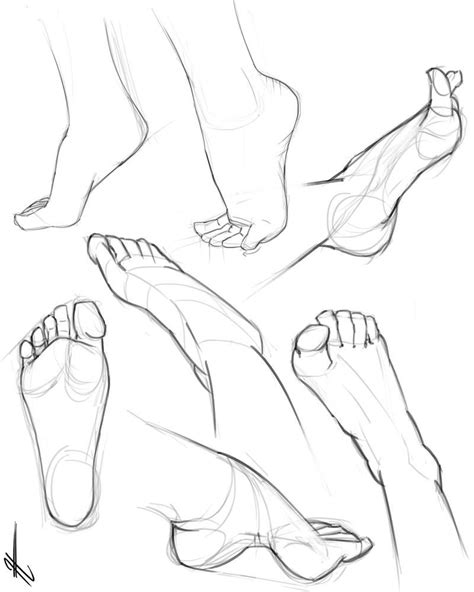 Anatomy By Jooood On Deviantart Feet Drawing Body Drawing Hand