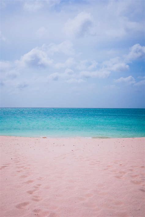 Aruba Pink Beach Travel Off Path