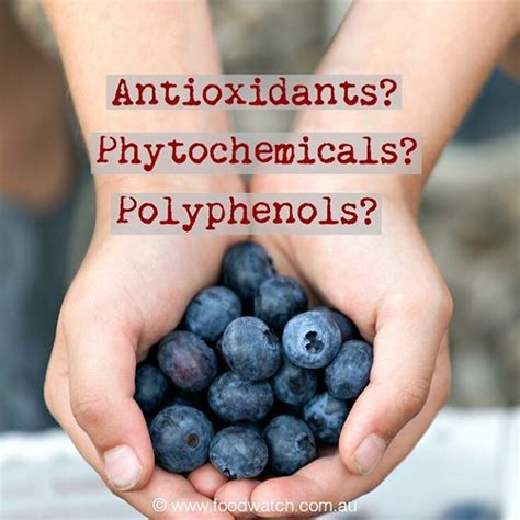 whats the difference between antioxidants and phytochemicals what about polyphenols strictly