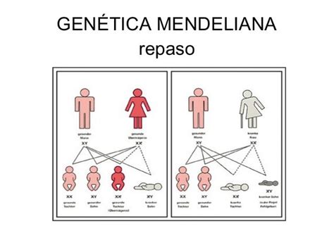 Genética Clásica