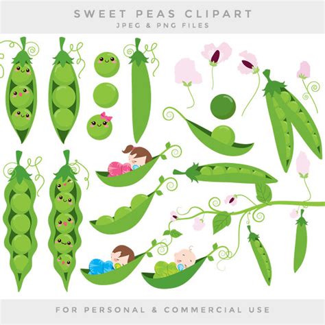 Peas In A Pod Clip Art Sweet Peas Clipart Baby Babies Green Etsy In