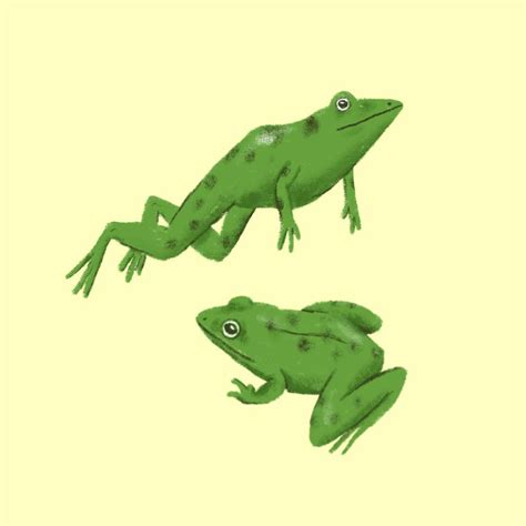 Pin By あおがえる On Frog Drawing Skills Amphibians Drawings