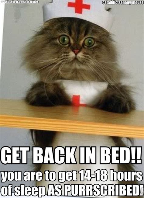 See The Shocking Funny Get Well Cat Pictures Hilarious Pets Pictures
