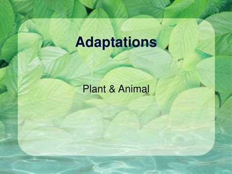 Ppt Adaptations Powerpoint Presentation Free Download Id9087183