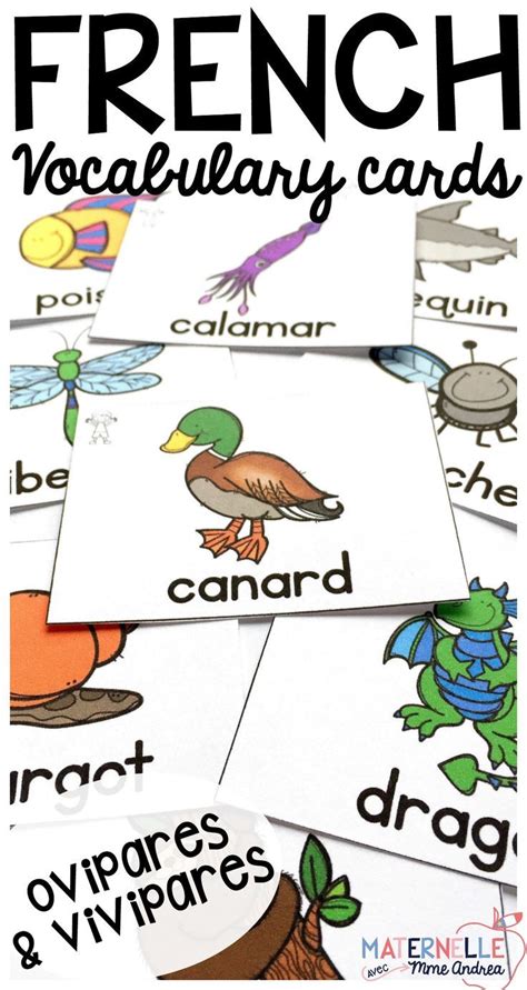 French Oviparous And Viviparous Animal Vocabulary Cards Use These Cards