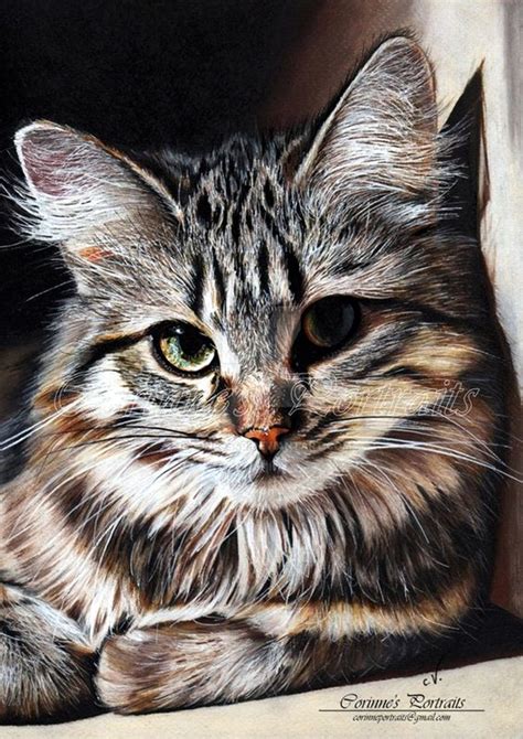 40 Color Pencil Drawings To Having You Cooing With Joy