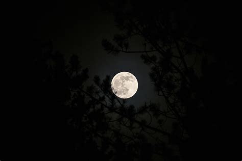 Full Moon In The Sky · Free Stock Photo