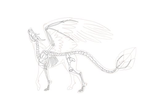 Pin By Theodore On Internet Skeleton Drawings Dragon Drawing Dragon Art