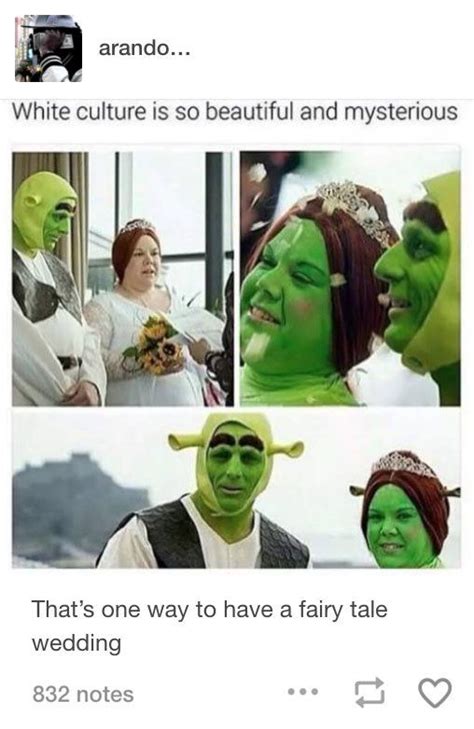 The 92 Funniest Shrek Memes In The History Of Humanity Really Funny