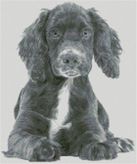 Cross cross stitch patterns pattern cute characters cross stitch tapestry stitch projects design. Cross Stitch Chart or Complete Kit English Cocker Spaniel ...