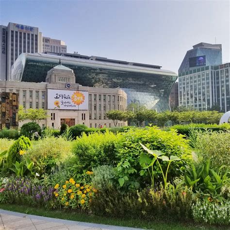 Seoul City Hall Seúl Tripadvisor