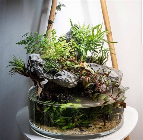 Just leave the plant in the aquarium, and new growth will once again emerge. Iwagumi Aquascaping: A Beginner's Guide in 2020 ...