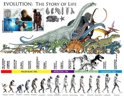 Zsite59 Evolution The Story Of Life │ The Prehistoric Eras │ Dinosaur