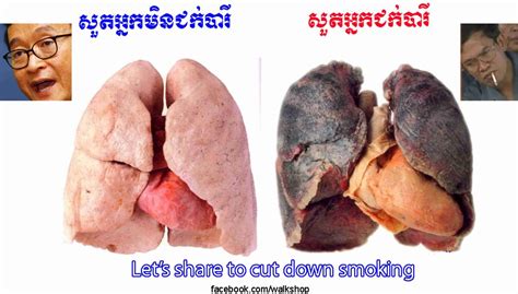 ki media smoker versus non smoker a real life sober comparison