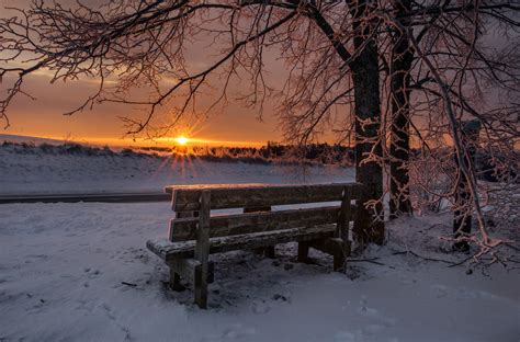 배경 화면 눈 겨울 동결 해돋이 나무 물 하늘 저녁 아침 일몰 새벽 햇빛 서리 얼음 분위기 황혼