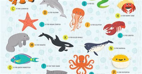 A To Z Under The Sea Illustrated Marine By Arieltyndelldesign