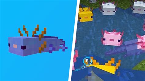 Minecraft How To Breed A Blue Axolotl Gamerevolution