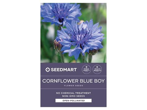Cornflower Blue Boy Flower Seeds Non Gmo And No Chemical Treatment