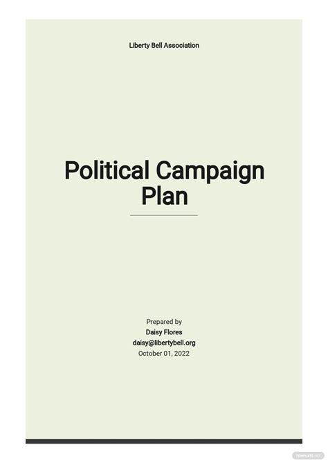 Political Campaign Plan Template Word
