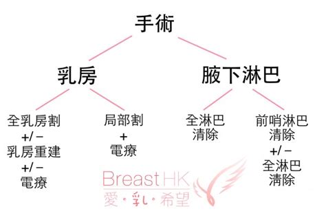 乳癌手術 Breast Cancer Hk 香港的乳癌治療資訊