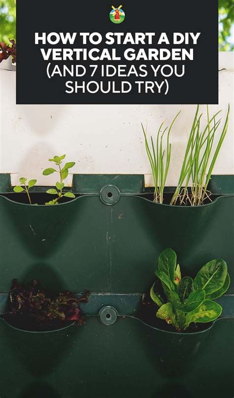 How To Start A Diy Vertical Garden And 7 Ideas You Should Try