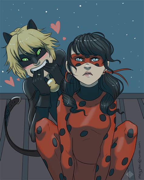 LadyNoir Miraculous Ladybug Know Your Meme