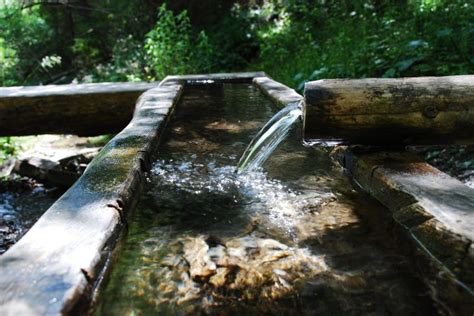 Why To Consider A Natural Water Source For Your Homes Supply