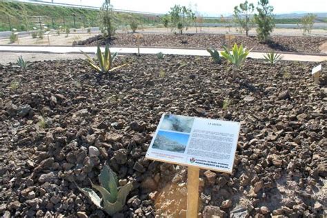 el jardín botánico de pulpí abre sus puertas a la conservación de la riqueza vegetal autóctona