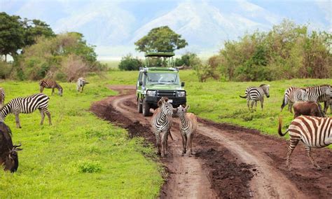 The Ultimate Tanzania Safari Itinerary