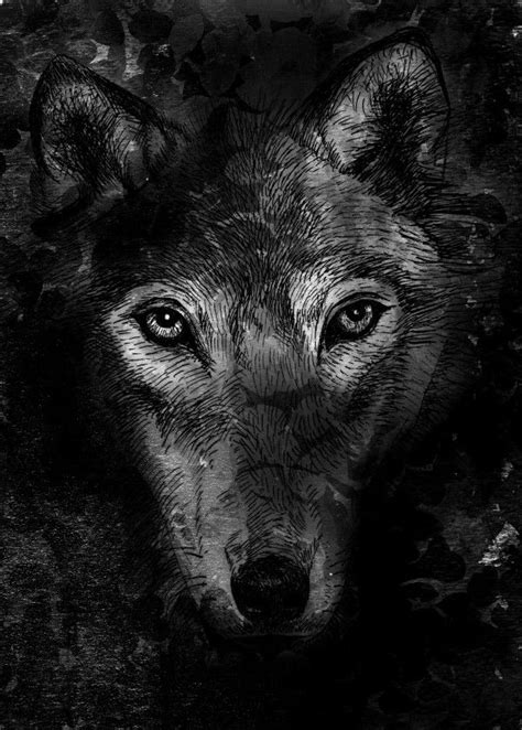Black Wolf Animals Poster Print Metal Posters