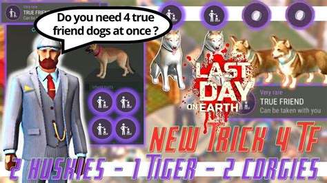 Steps To Get True Friend Dogs Only 4 Final Last Day On Earth