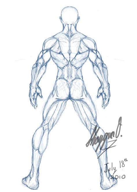 Drawing Male Anatomy Male Figure Drawing Human Anatomy Art Anatomy