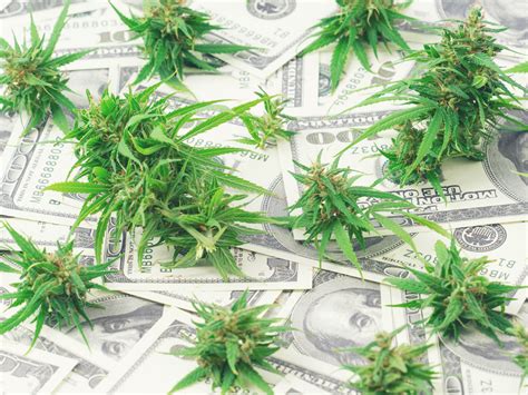 The Cannabis Supply In The Us Is Going To Reach Almost 50 Million