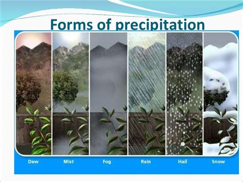 Precipitation Presentation
