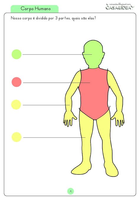 Casaandidea Partes Do Corpo Humano Série Apoio De Ensino Em Casa