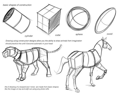 Concept Design Academy Animal Anatomy With Jonathan Kuo~ Easy