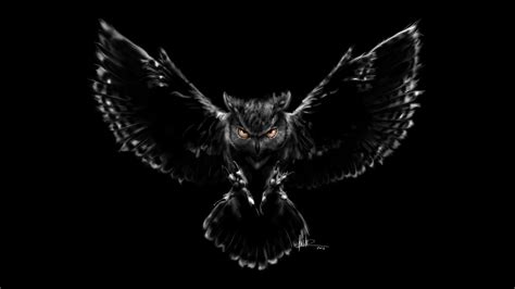 Owl 4k Wallpapers Top Free Owl 4k Backgrounds Wallpaperaccess