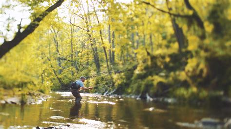 Homegrown Wild Trout Conservation Trout Unlimited