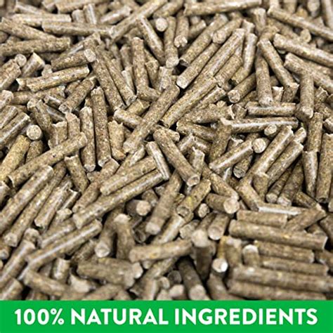 Magnagard Pellet Gastric Support Supplement For Horses Palatable