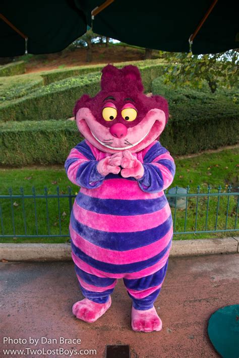 Cheshire Cat At Disney Character Central