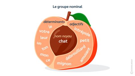 Le Groupe Nominal Cours Cm2 Français Schoolmouv
