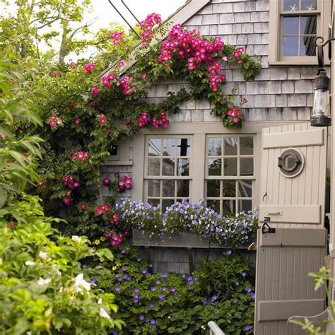 Image Result For Cape Cod Houses With Hollyhoke Flowers Cottage