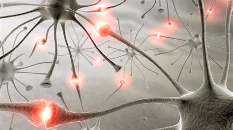 La Sinapsis Neuronal Revista Toxicshock